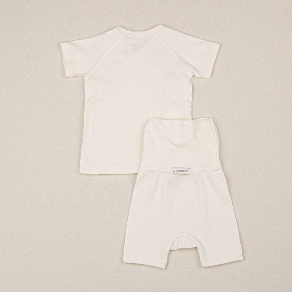 31e6a117108926852060953aa7d940ff