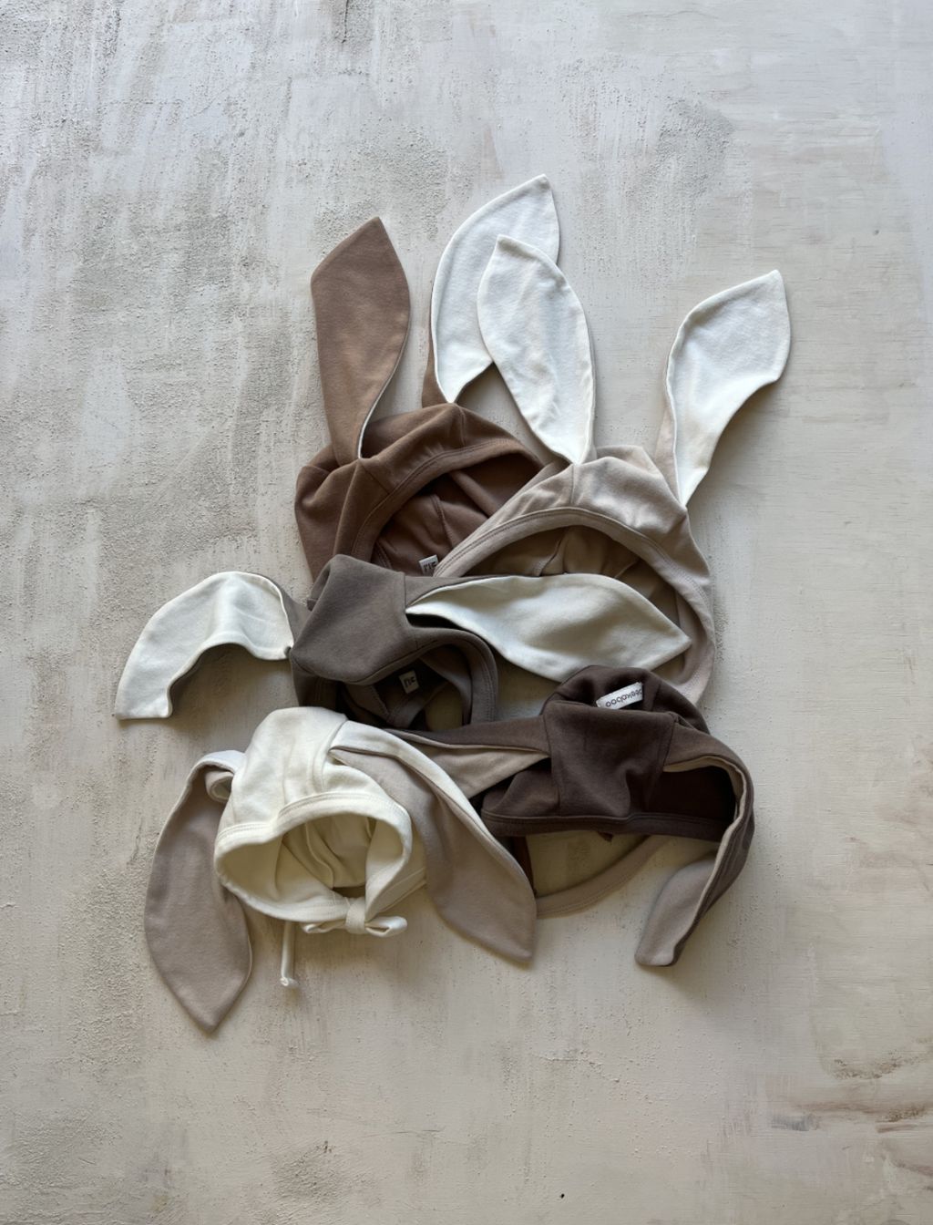 image_61900ECD-1CC4-4CE3-B426-37CFF40D543E_1760942732