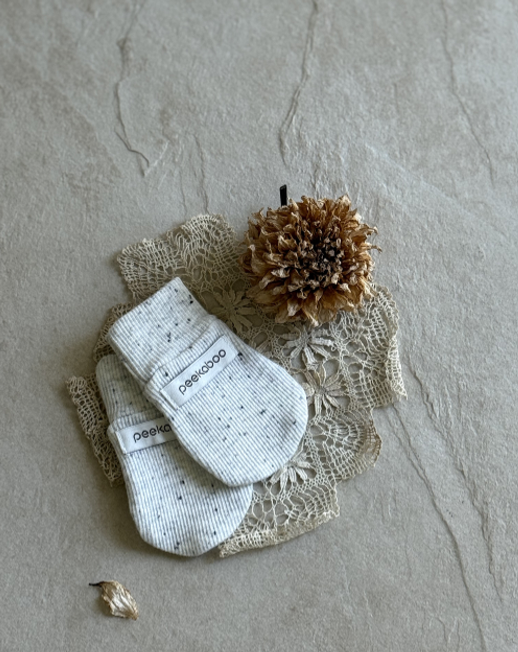 螢幕擷取畫面 2025-10-20 154829