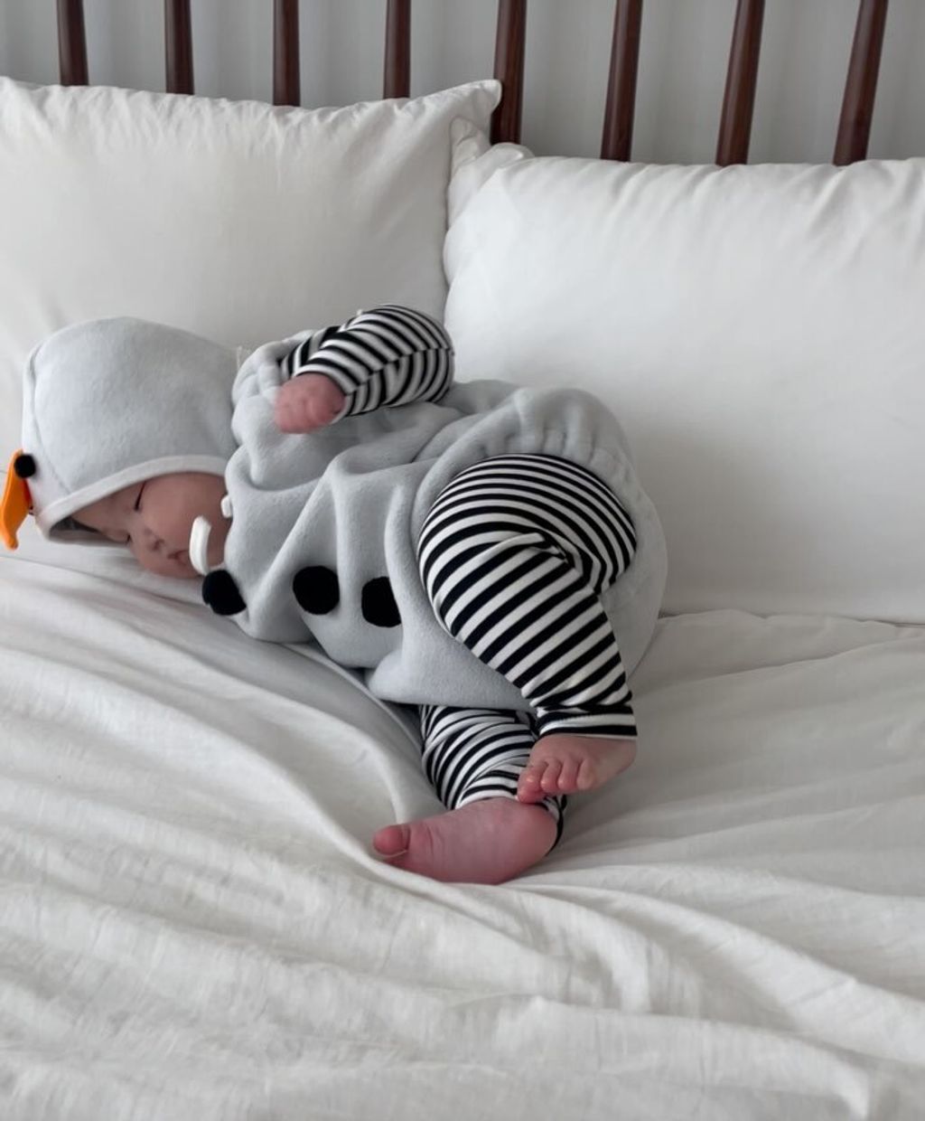 image_9C632AF8-E234-46F8-A765-B4E4ABBF5DC9_1761552224