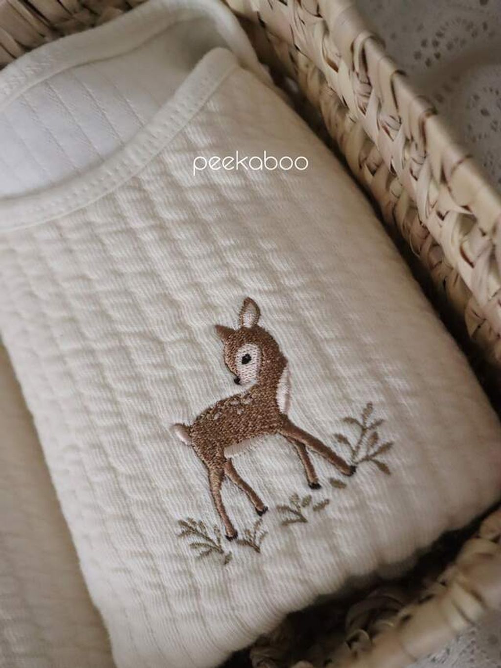 image_B879785F-93E4-47F4-BBD6-709753D25DD5_1761617751