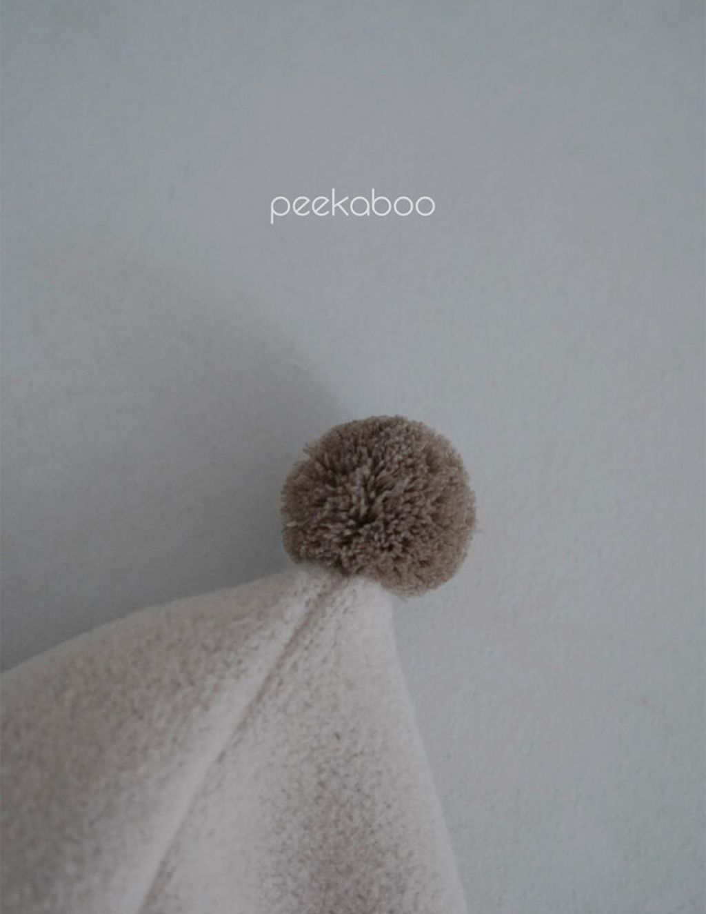 image_1E717603-4065-4EE5-80E0-383F926B4D98_1762077284