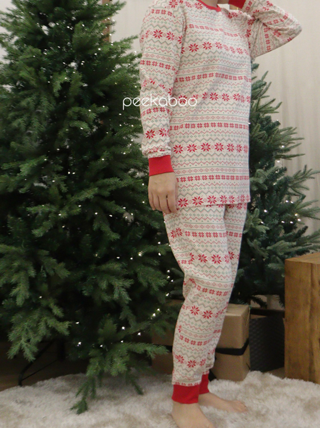 螢幕擷取畫面 2025-11-06 115639