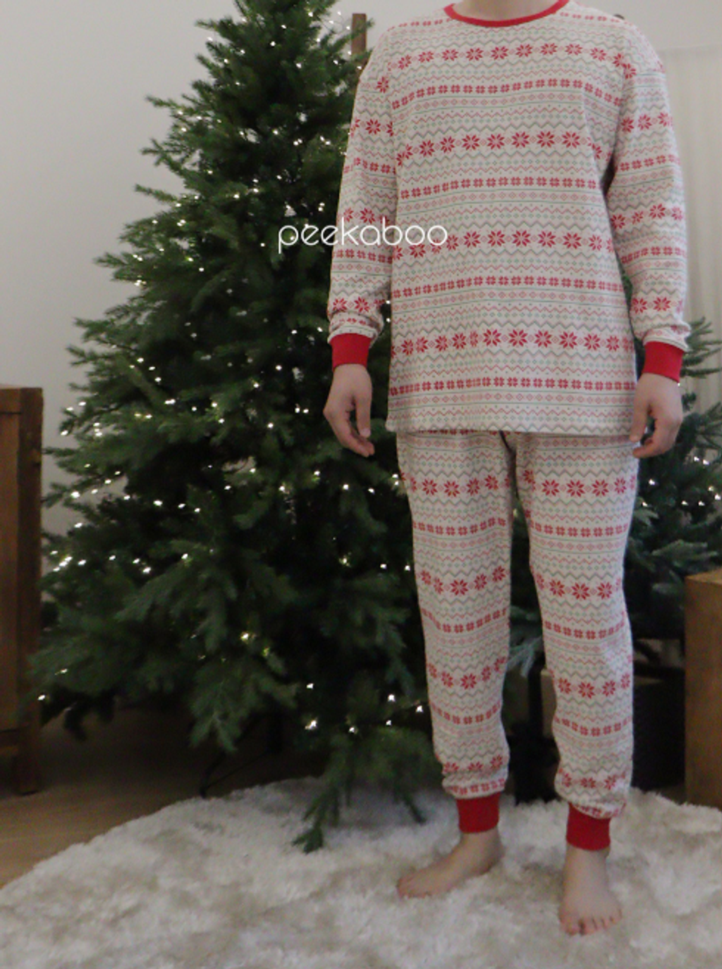 螢幕擷取畫面 2025-11-06 120007