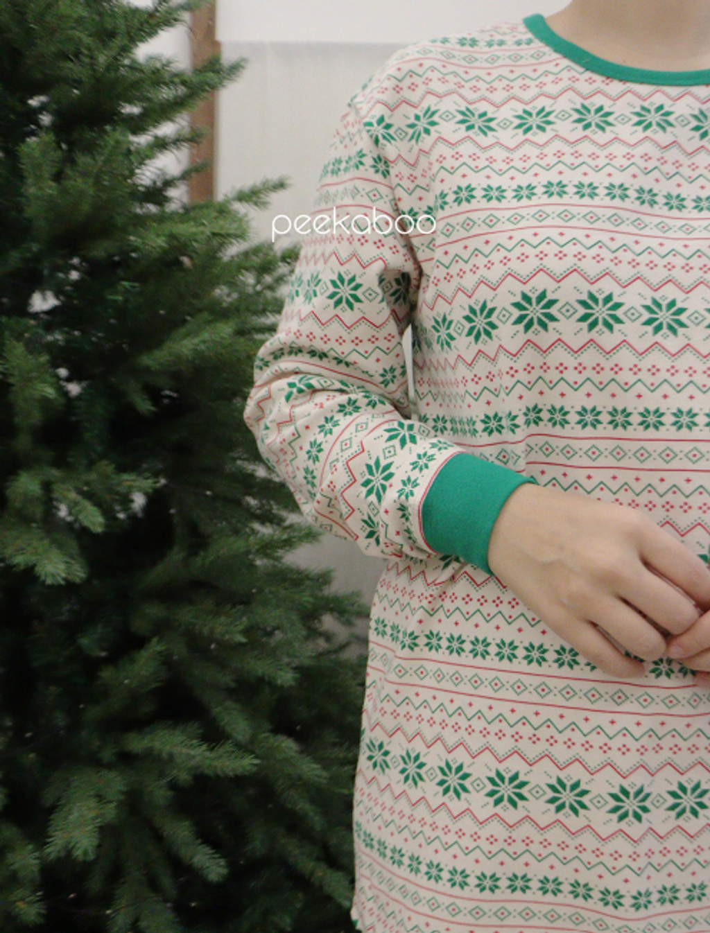 螢幕擷取畫面 2025-11-06 115832