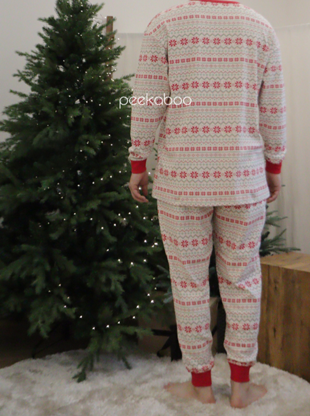 螢幕擷取畫面 2025-11-06 115949