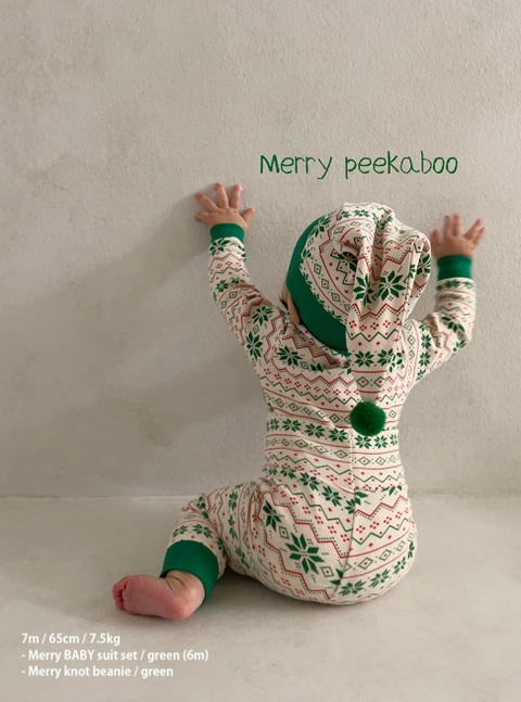 螢幕擷取畫面 2025-11-06 135941