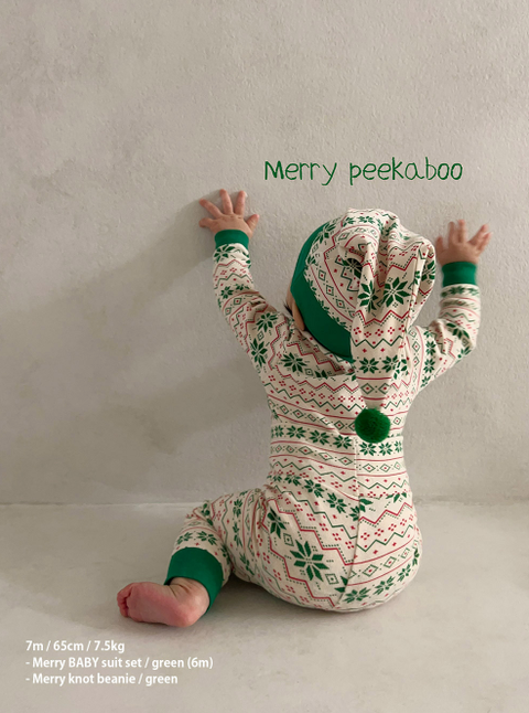 螢幕擷取畫面 2025-11-06 141545