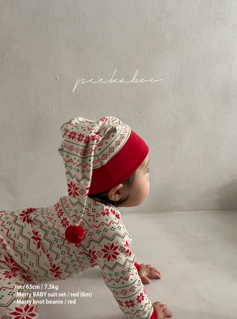 螢幕擷取畫面 2025-11-06 141557