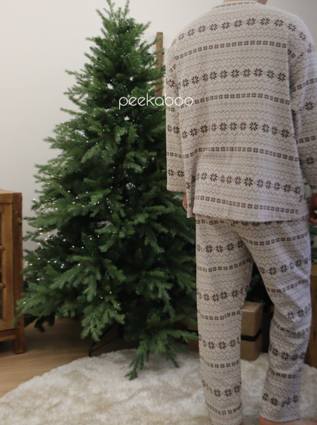 螢幕擷取畫面 2025-11-06 154530