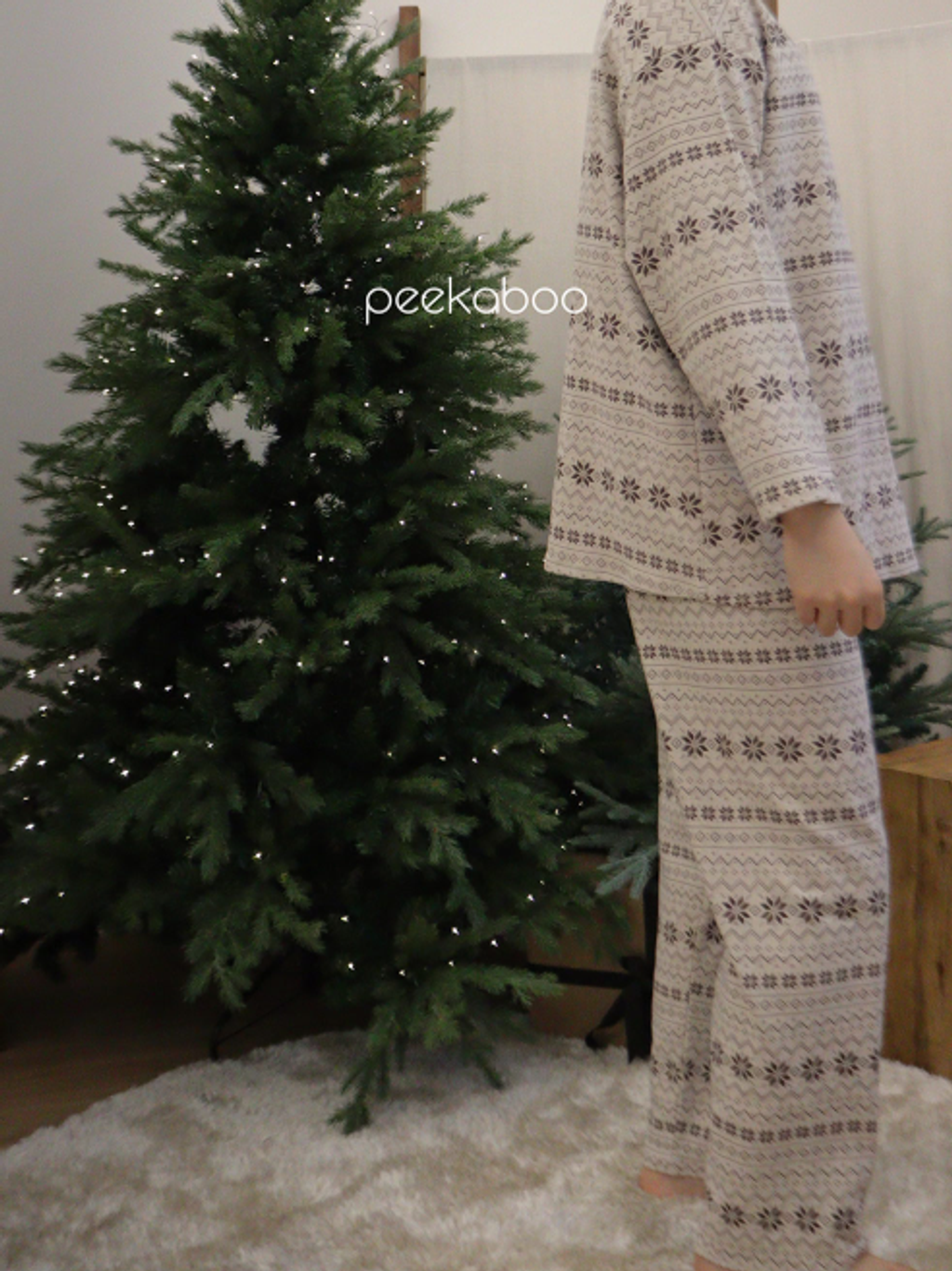 螢幕擷取畫面 2025-11-06 154505