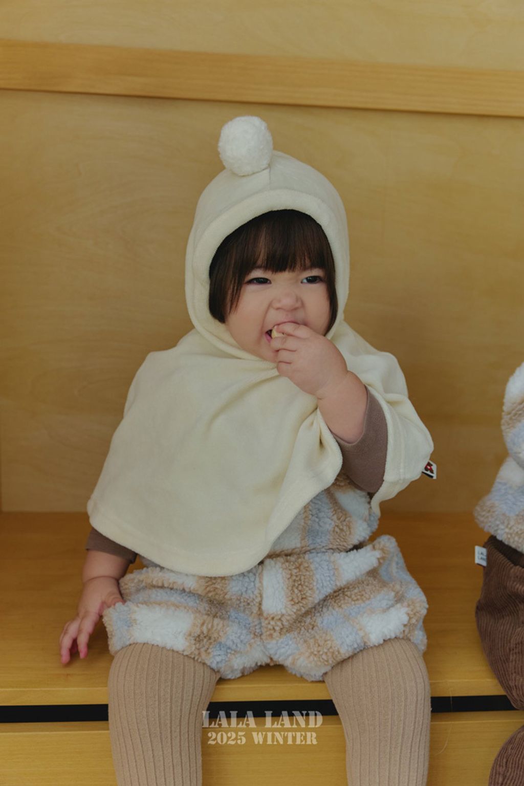 image_A81C0F09-B030-4744-A540-A22317ABF622_1762735493