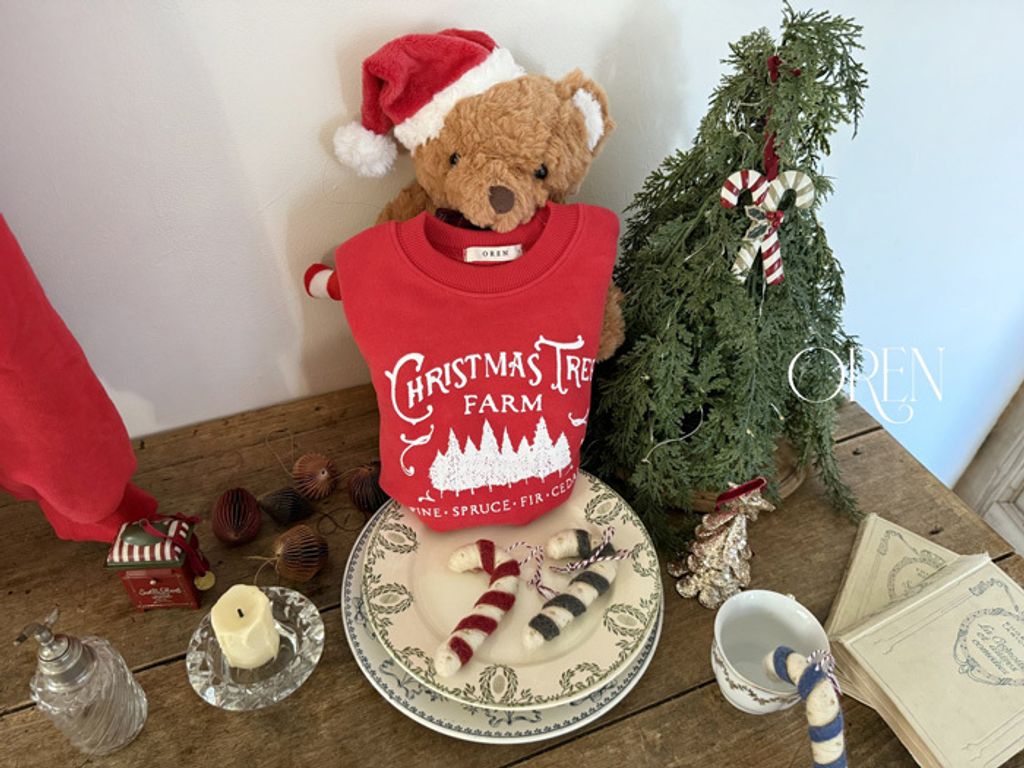 image_739A4C05-A47B-498E-8399-7DA6104ED764_1762931221