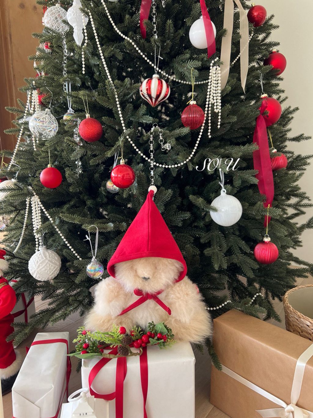 image_1C5116A4-E6B1-4F54-B16F-3CA9924EFC97_1763737790