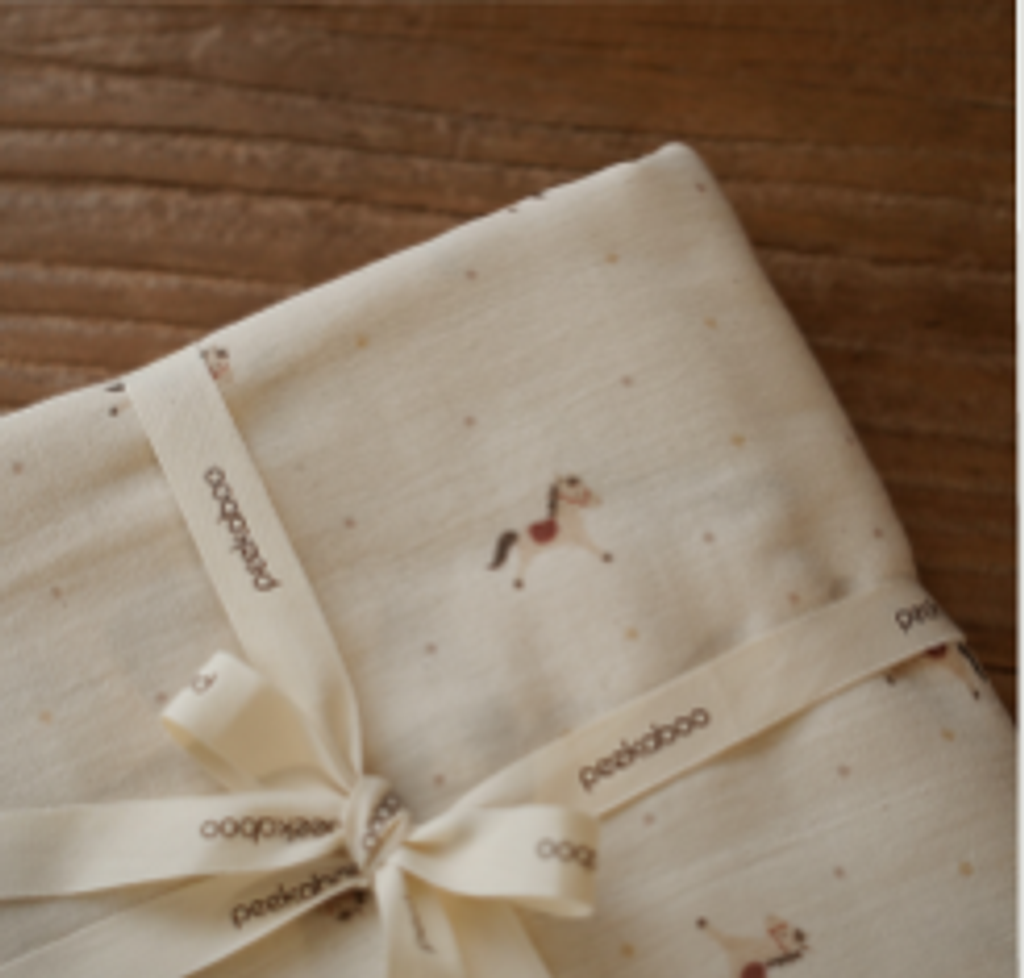 螢幕擷取畫面 2025-12-22 165624