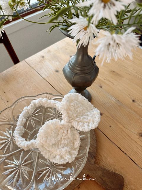 image_E9EAC967-497F-4126-85DA-0C2CB373EE08_1768214424