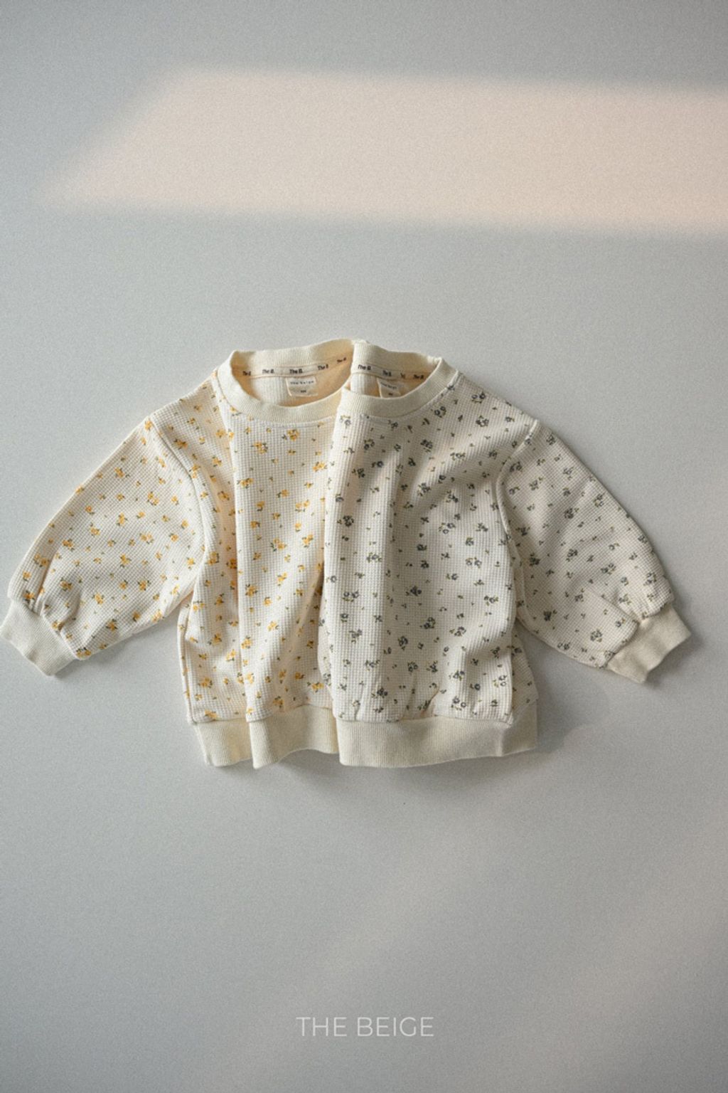 image_CE288978-C384-484F-88AE-81AF6022DCAC_1768910721