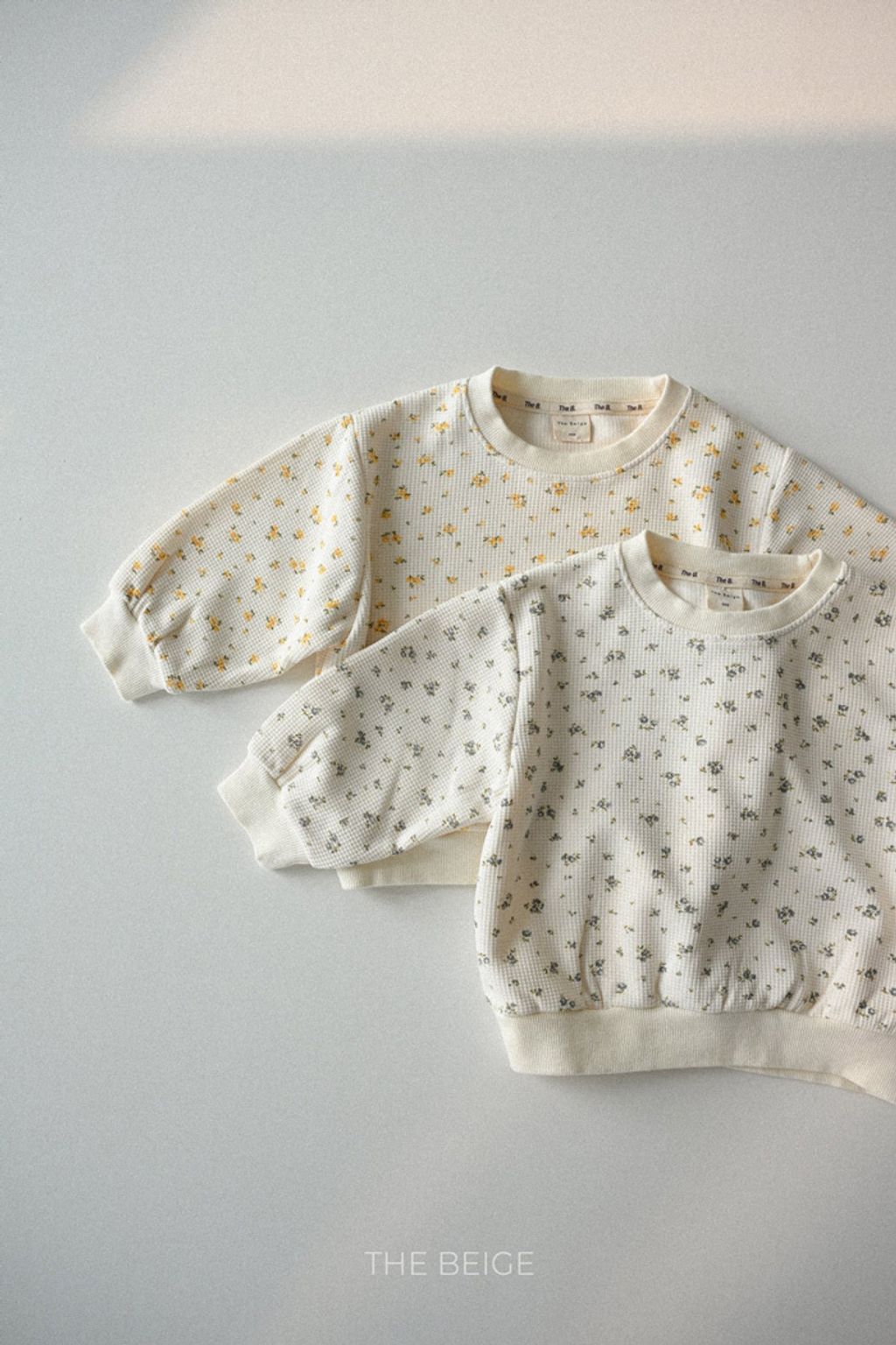 image_B713AA98-EF40-40E7-8A15-EFC2C0391DAE_1768910721