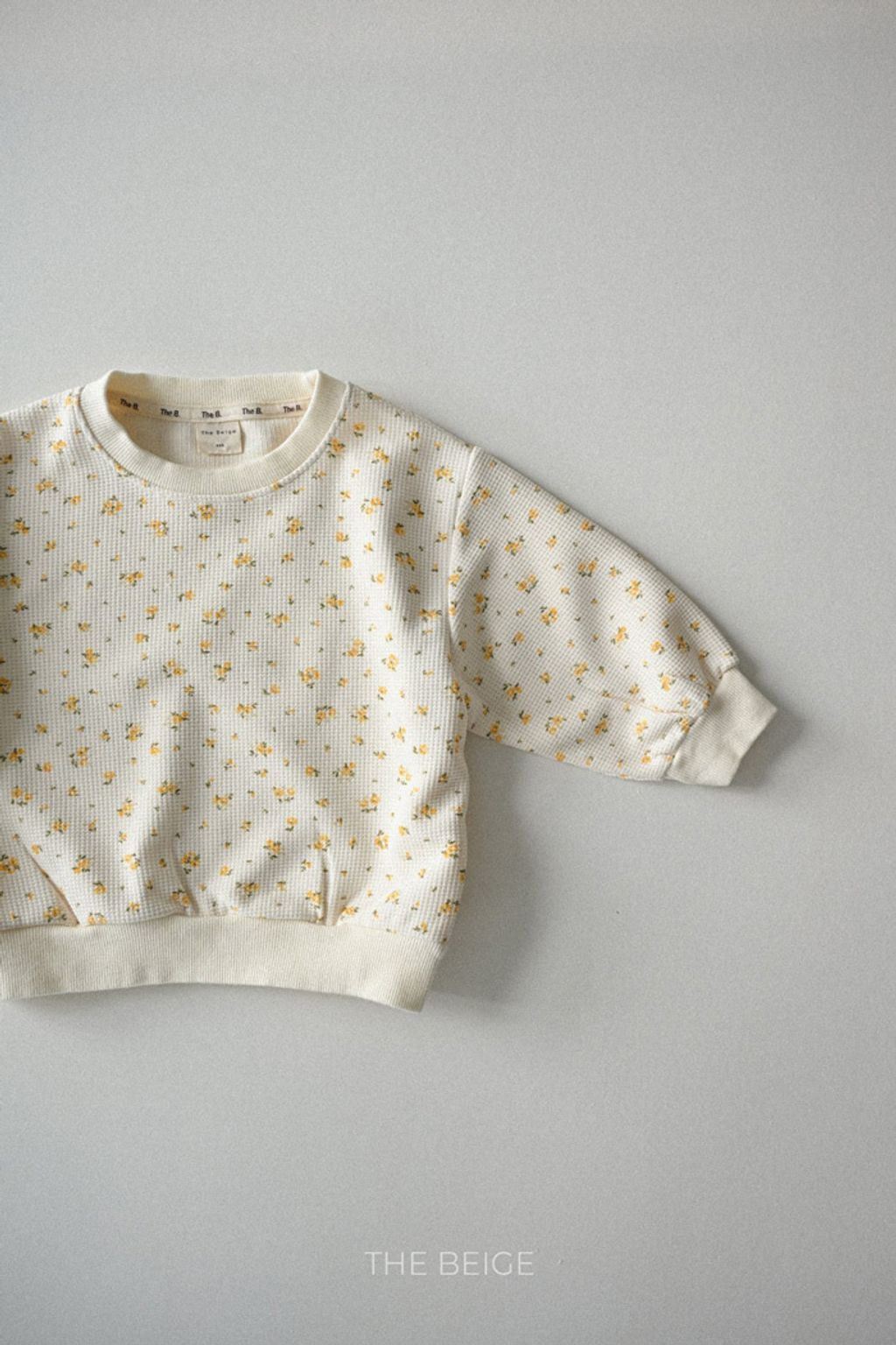 image_15DACCFD-E7A5-4003-8A63-A2CA311CB244_1768910721