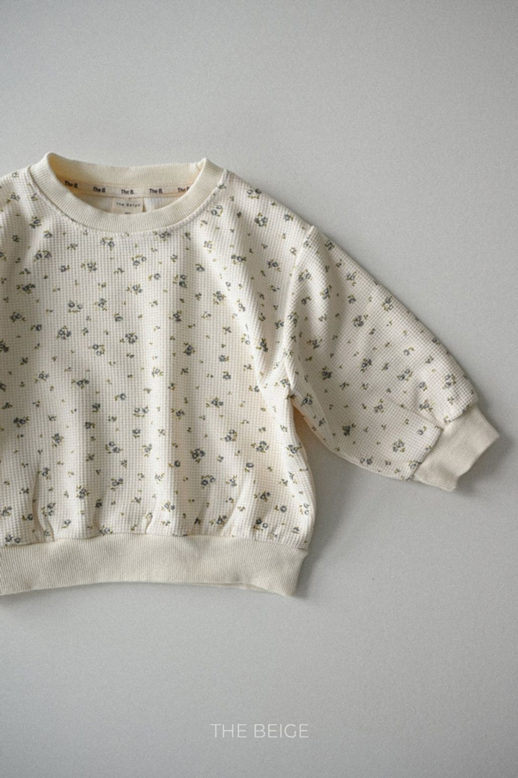 image_7640CB4D-3E7D-46B0-BFBF-F5507D836E6D_1768910721