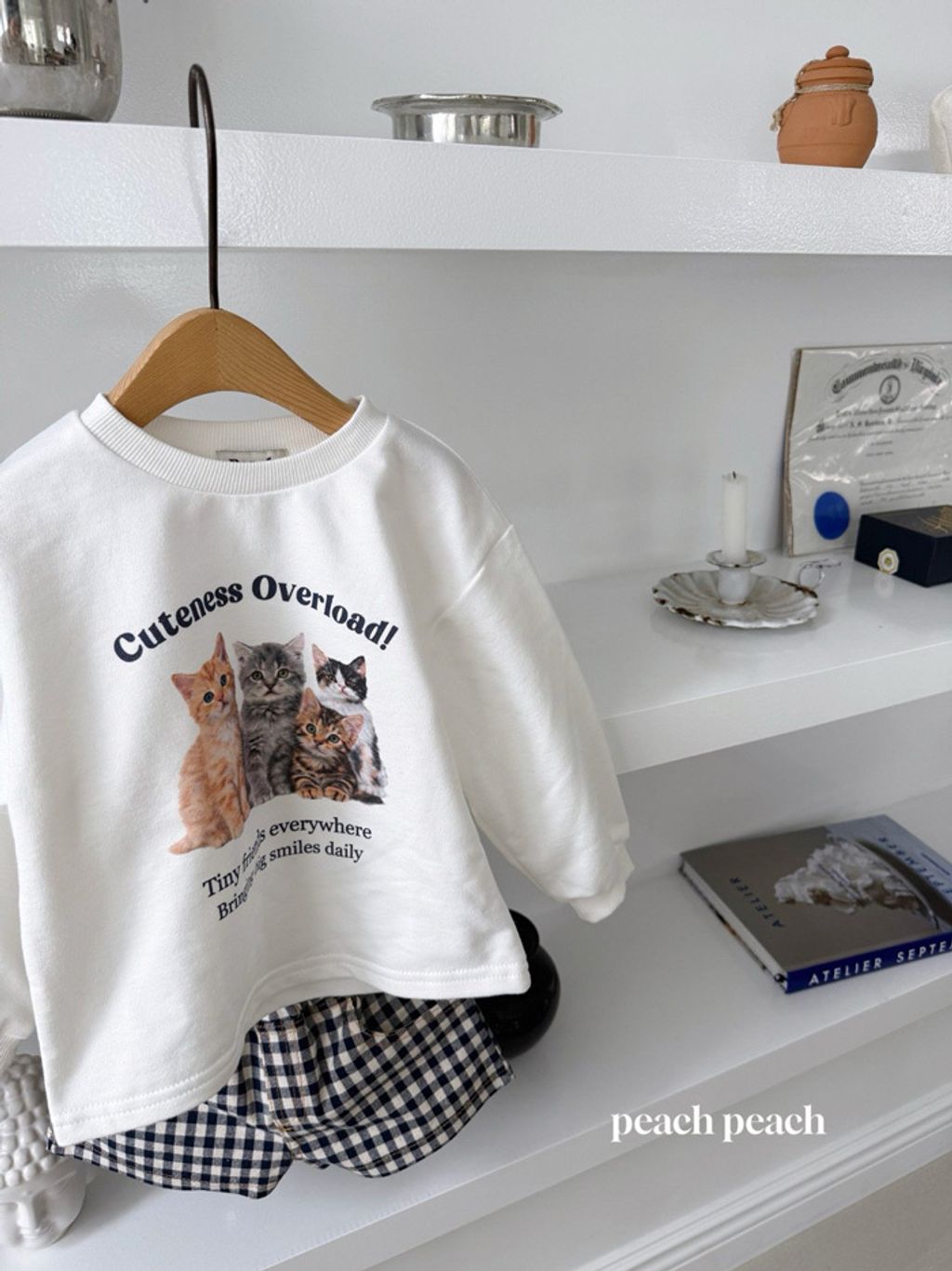 image_B0250CE3-2072-4E7C-B540-060726986E33_1772004558