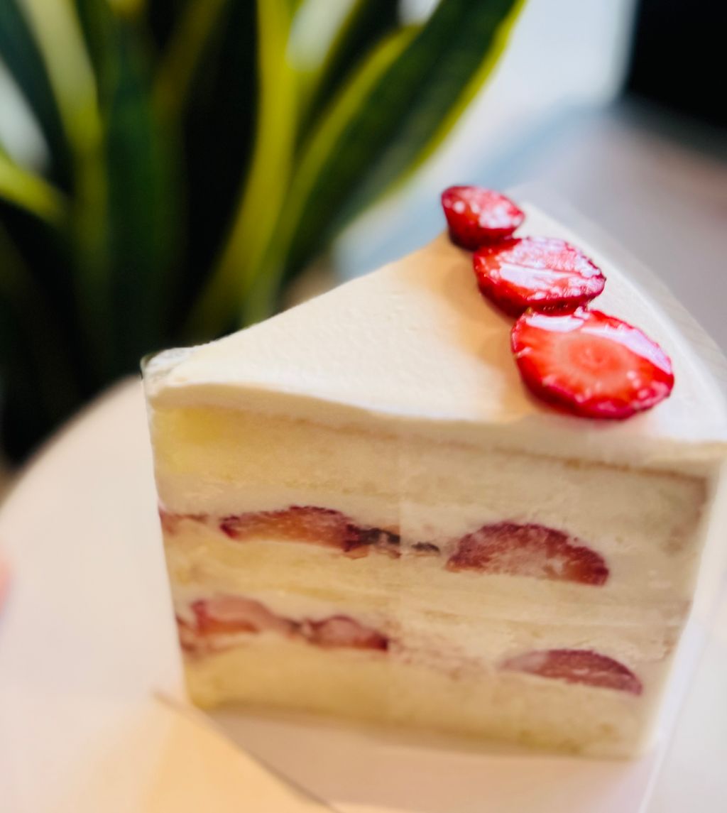 image_573BD3B4-3FE4-47AC-970C-73D1A01F61BF_1741791462