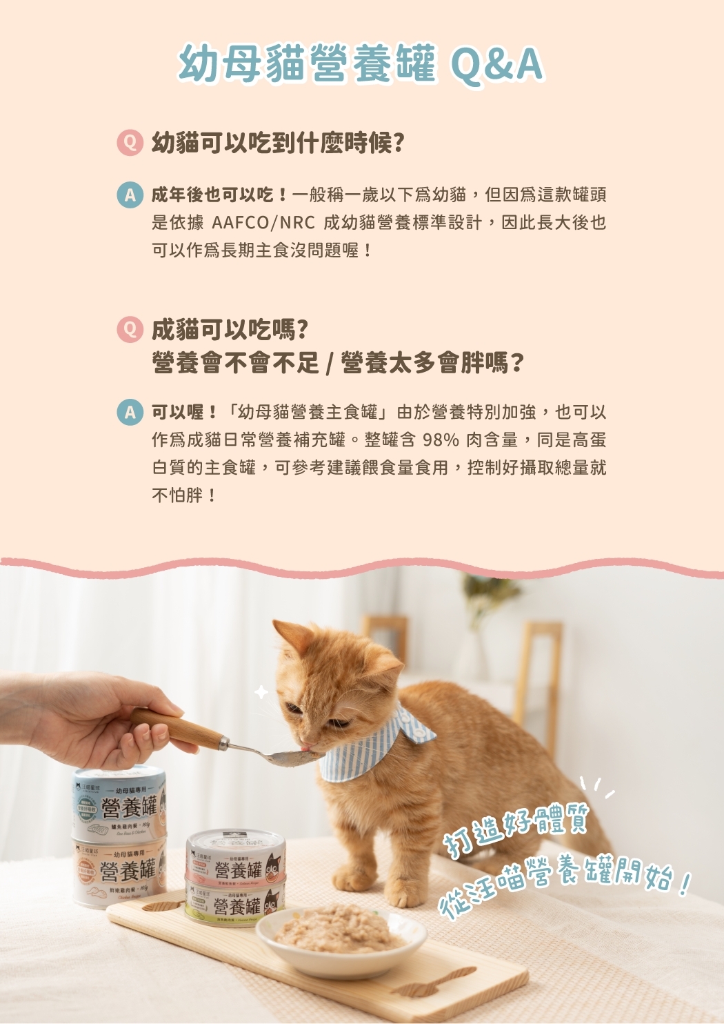 LINE_ALBUM_幼母貓無膠營養主食罐_240613_1
