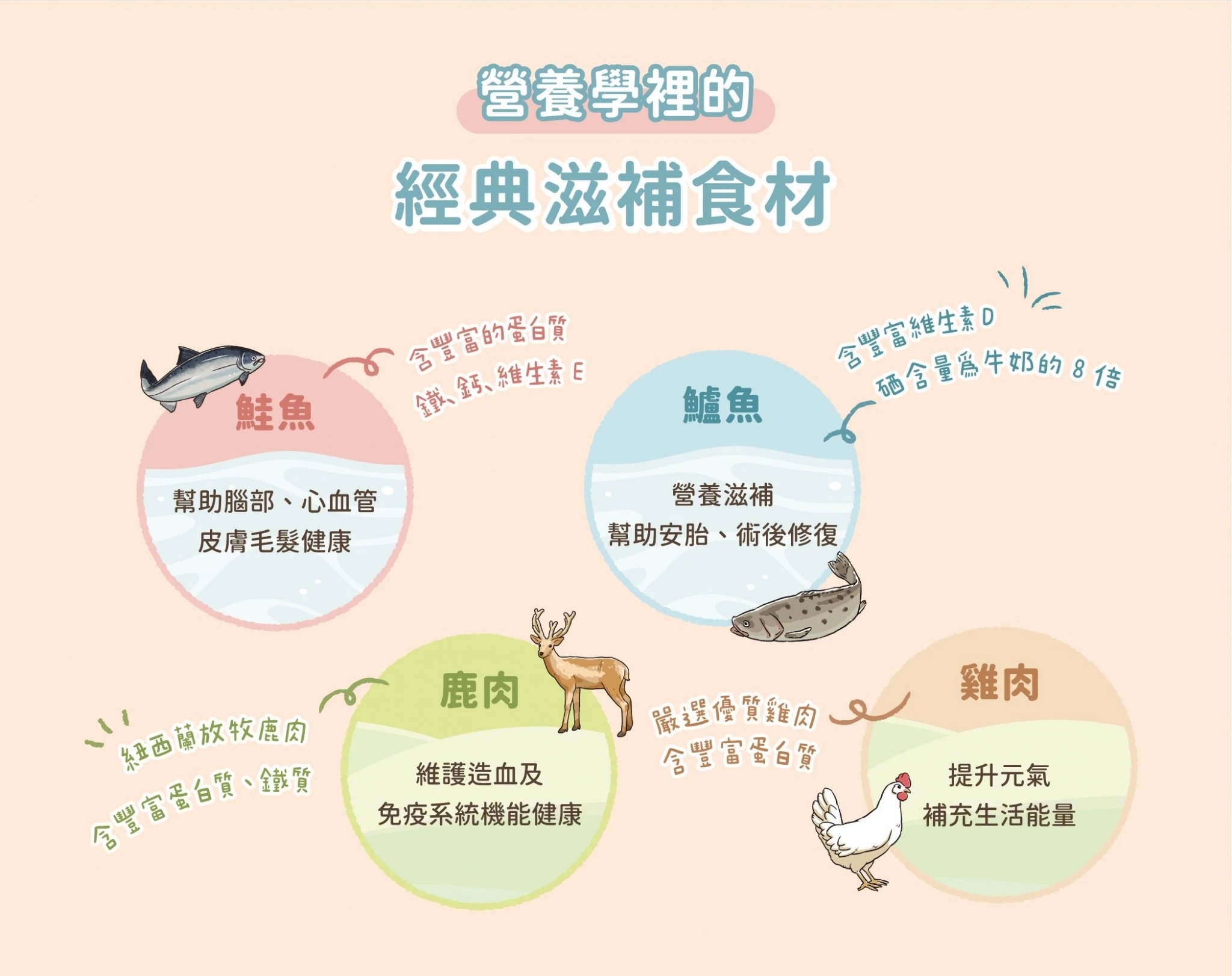 LINE_ALBUM_幼母貓無膠營養主食罐_240613_3