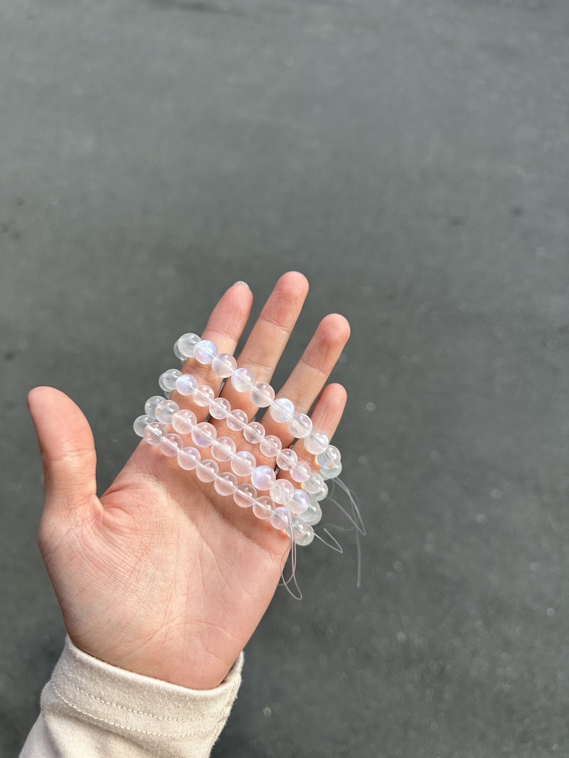 IMG_8495-1709918813575