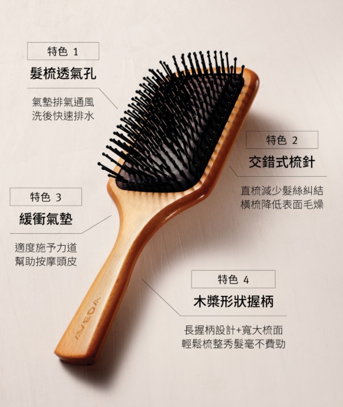 IMG_7307-1738468980154