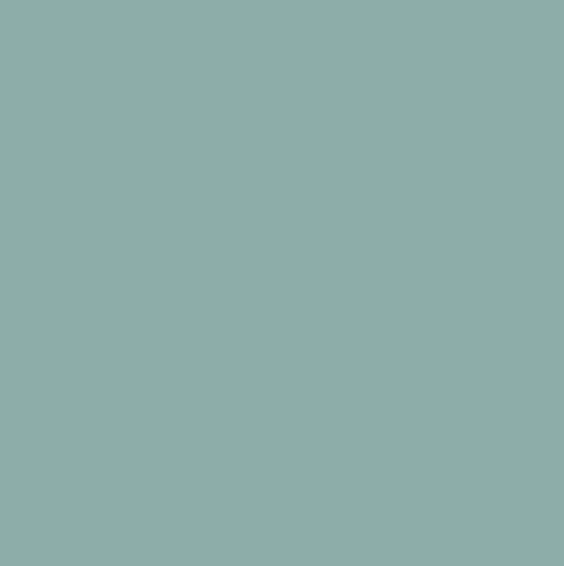 aurora white background