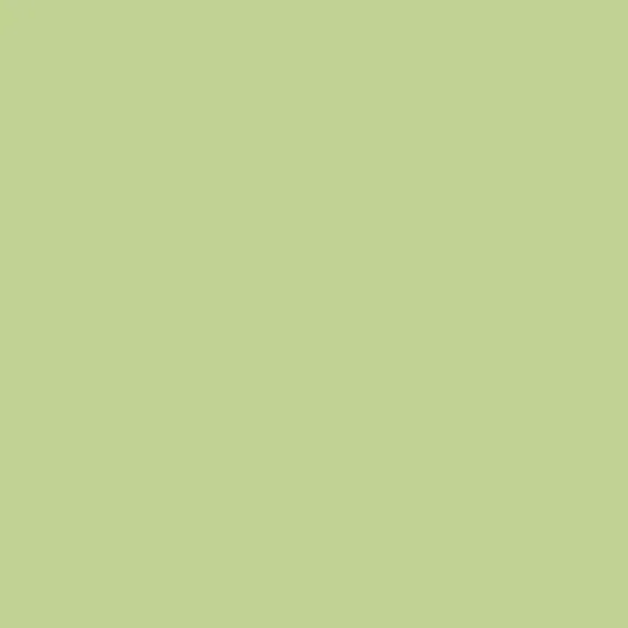 aurora white background