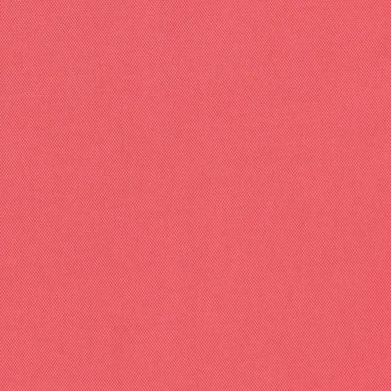 aurora white background