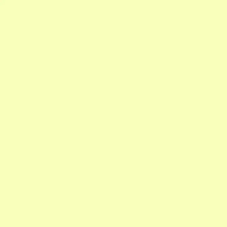 aurora white background