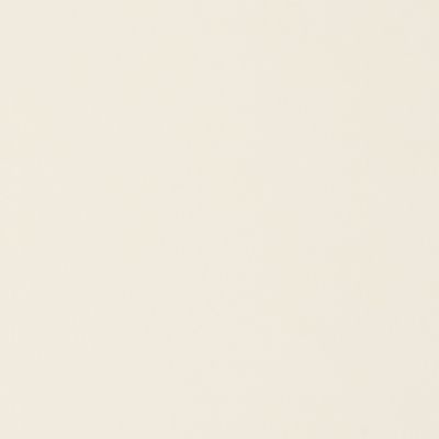 aurora white background
