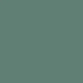 aurora white background