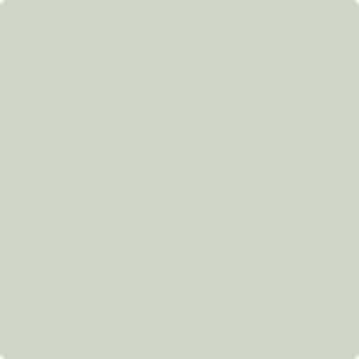 aurora white background