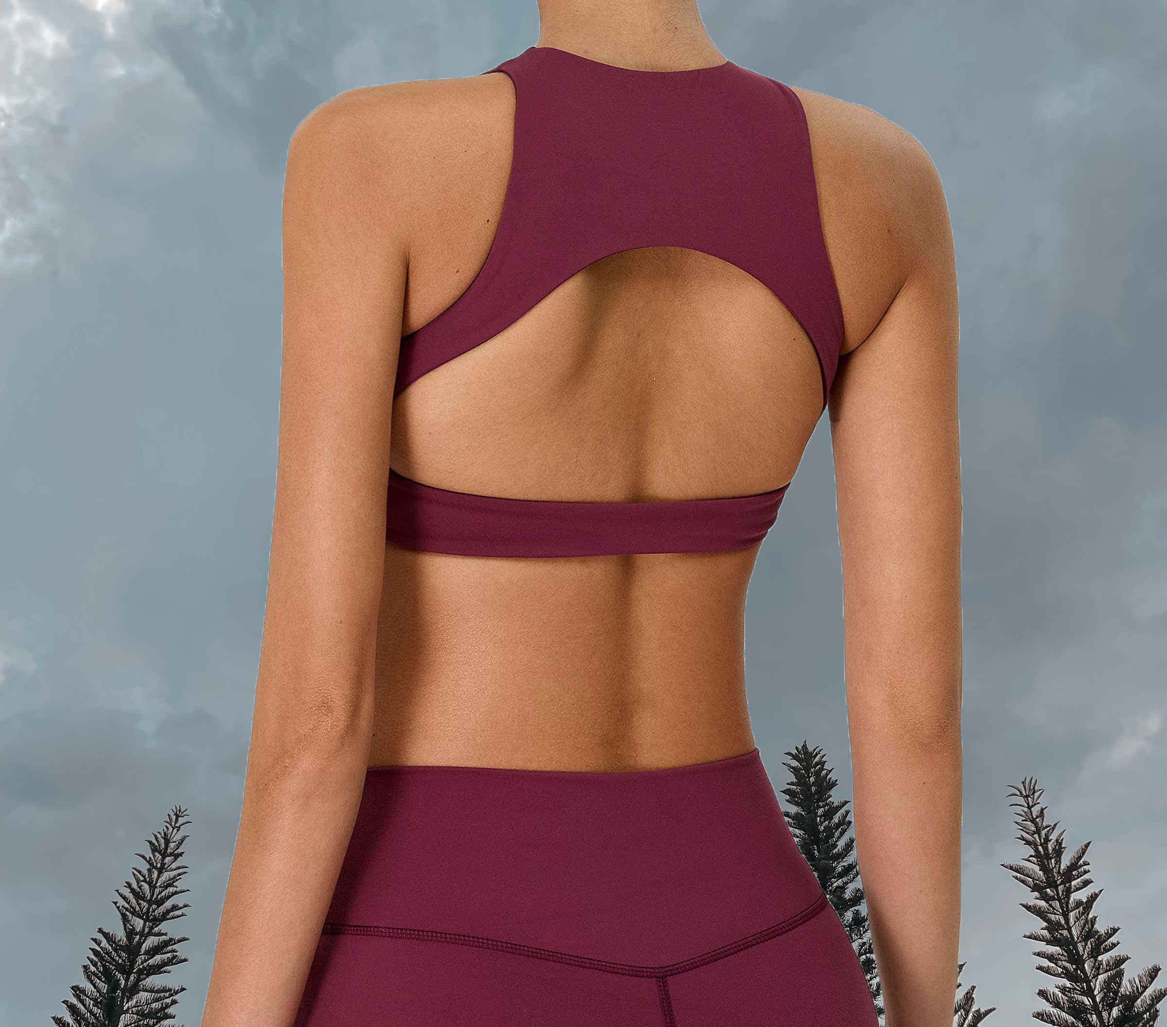 SoftMotion Hyrox Sports Bra - Cherry Lacquer Purple (2)