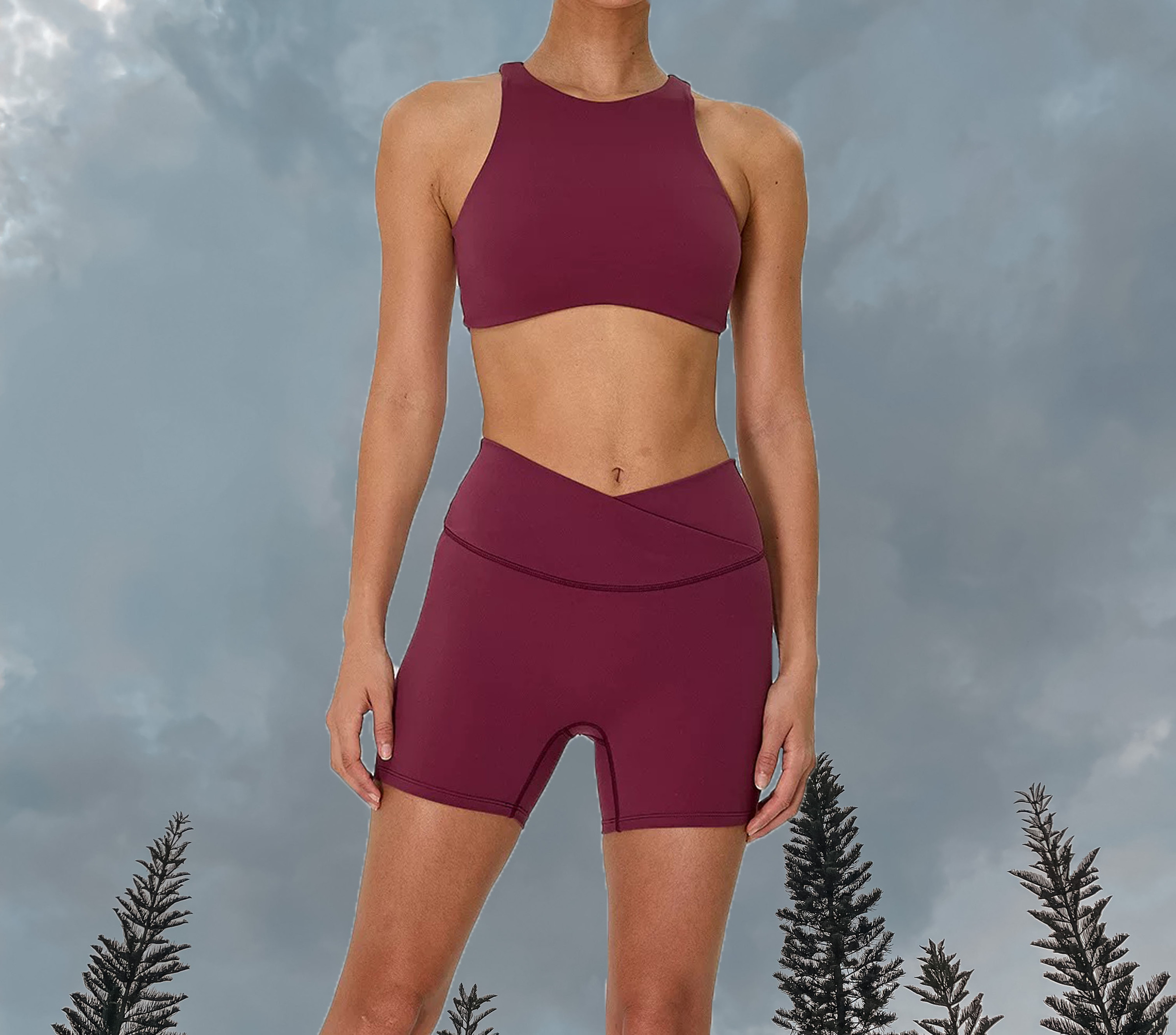SoftMotion Hyrox Sports Bra - Cherry Lacquer Purple (3)
