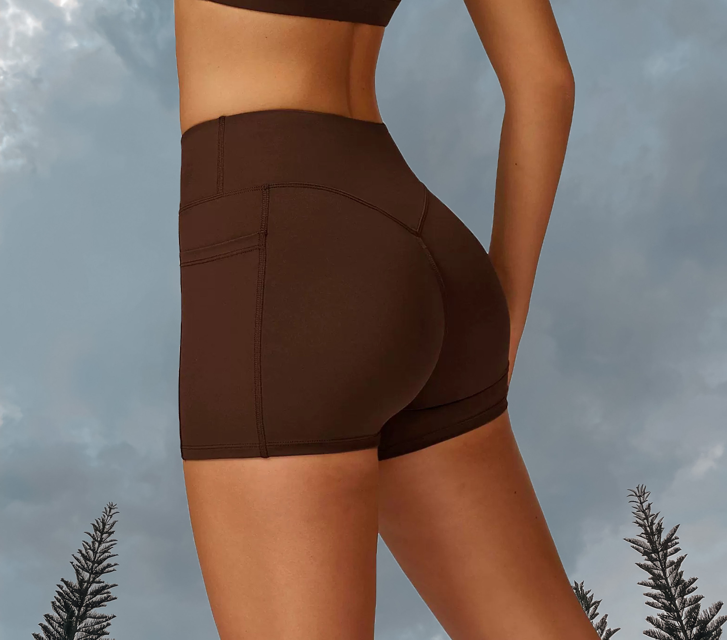 Sassy V Waist Shorts - Espresso (Back)