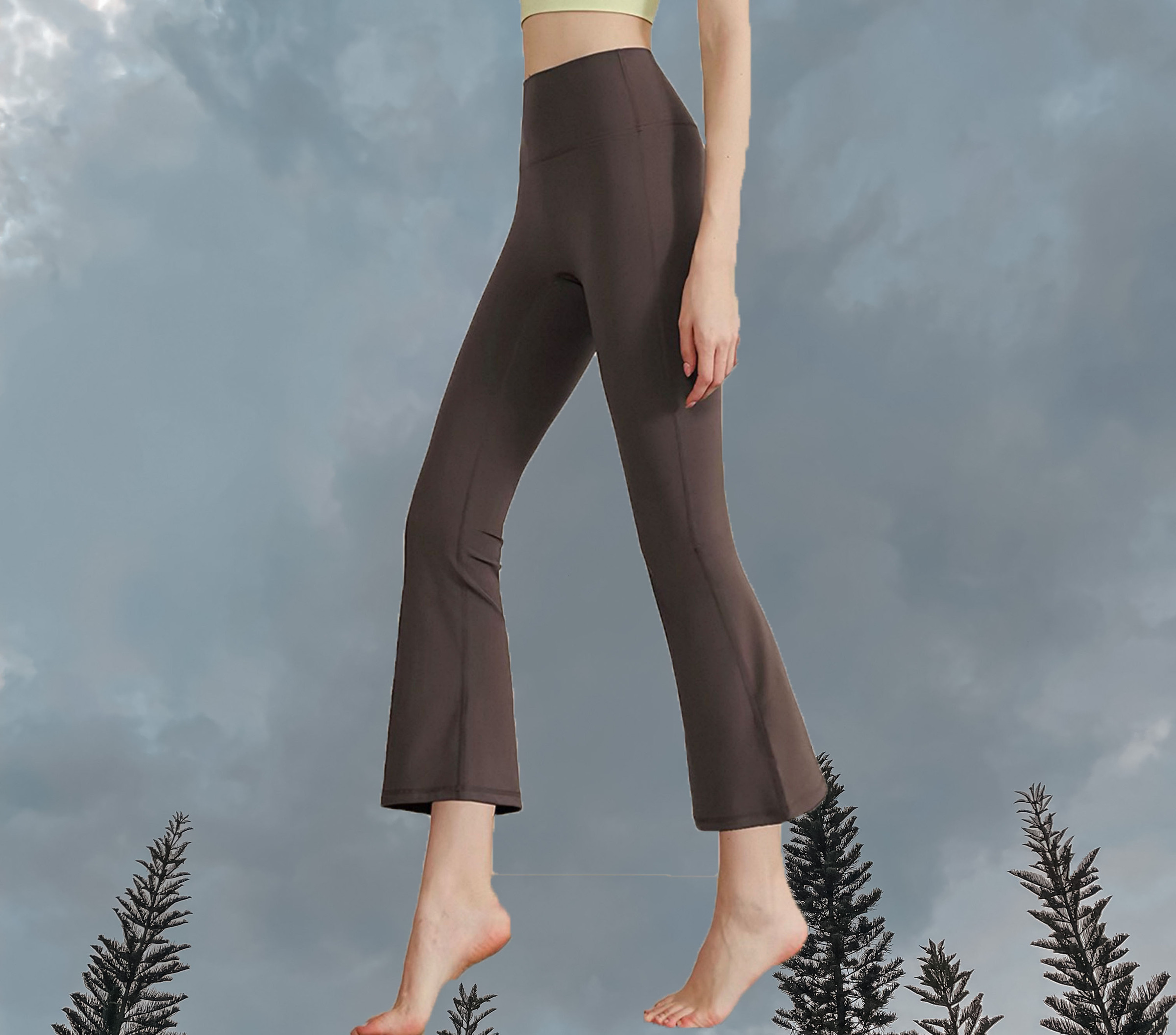 Lyra Flare Pants Petite -Taupe