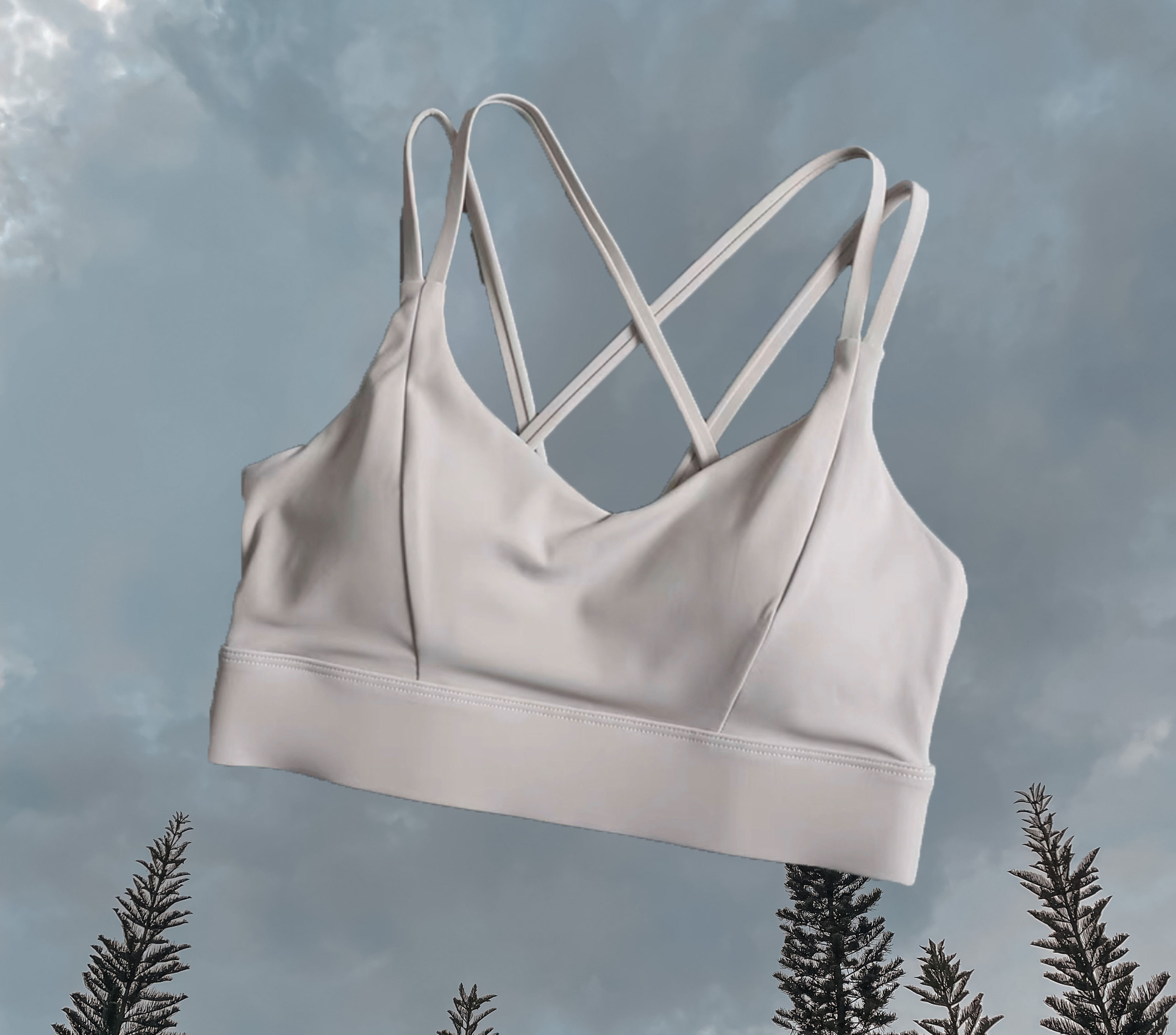 Carina Ivory Sport Bra