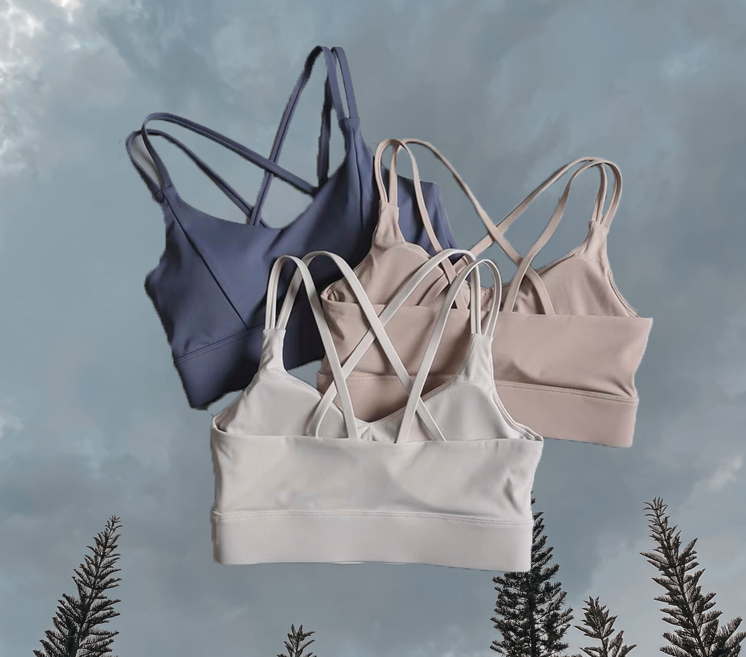 Carina Multi Back Sports Bra 