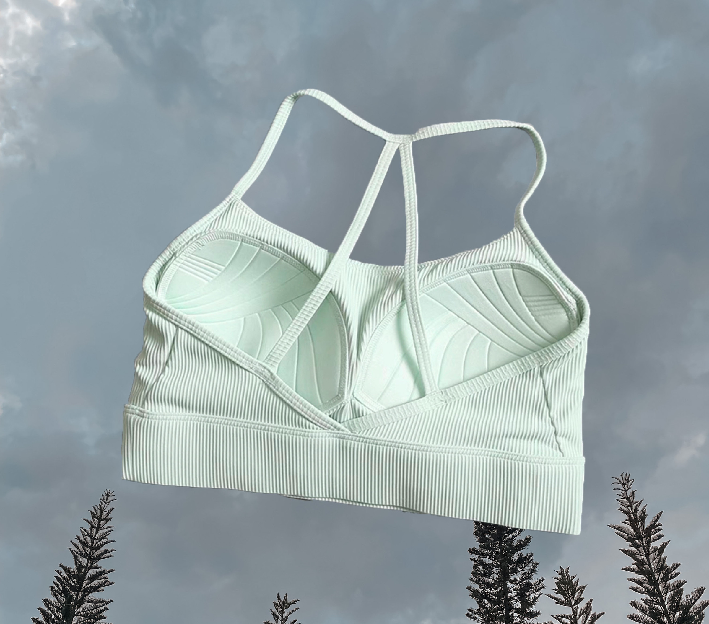 Crystal Sport Bra Mint Green - Back 
