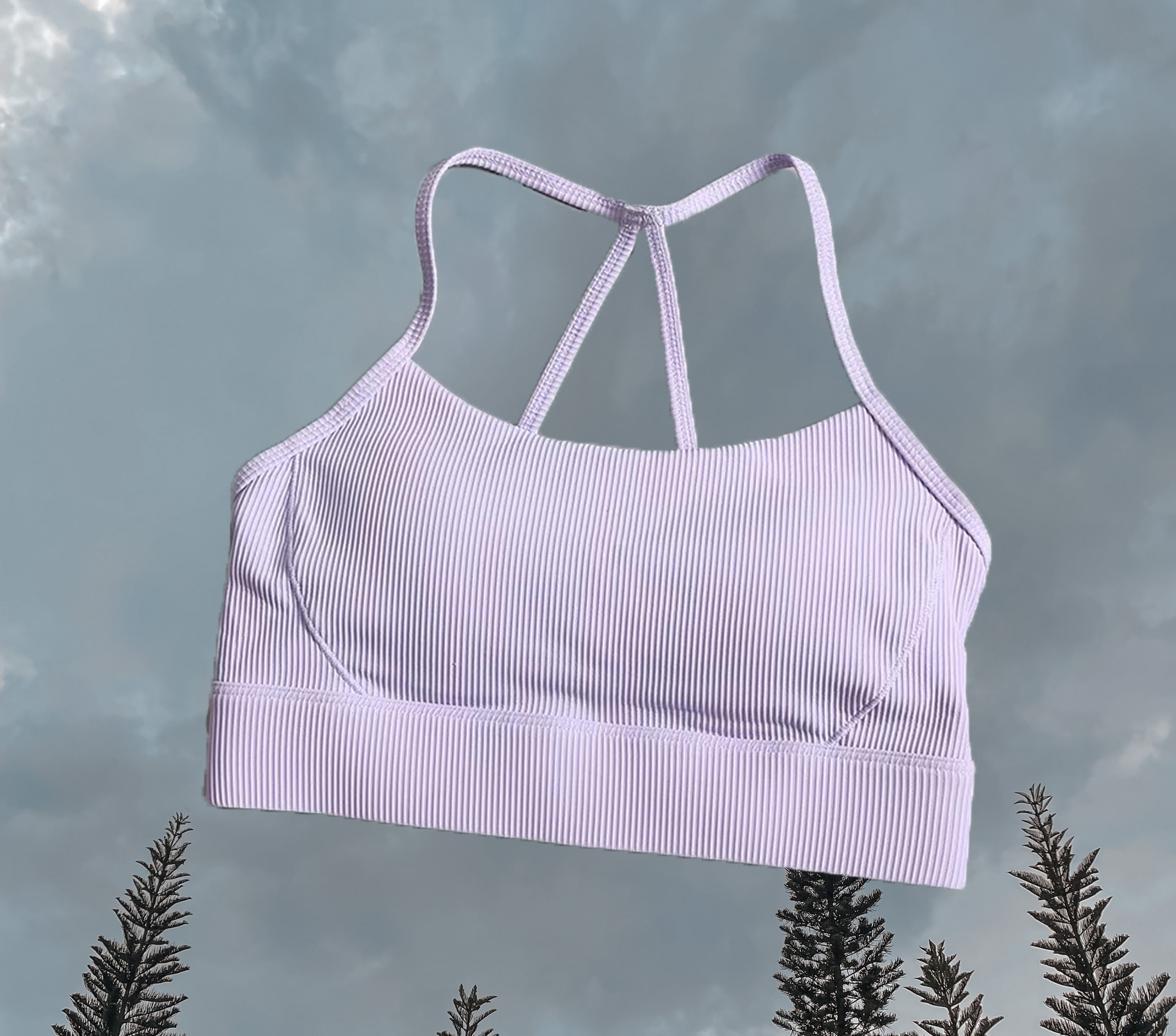 Crystal Sport Bra Lavender Purple - Front 