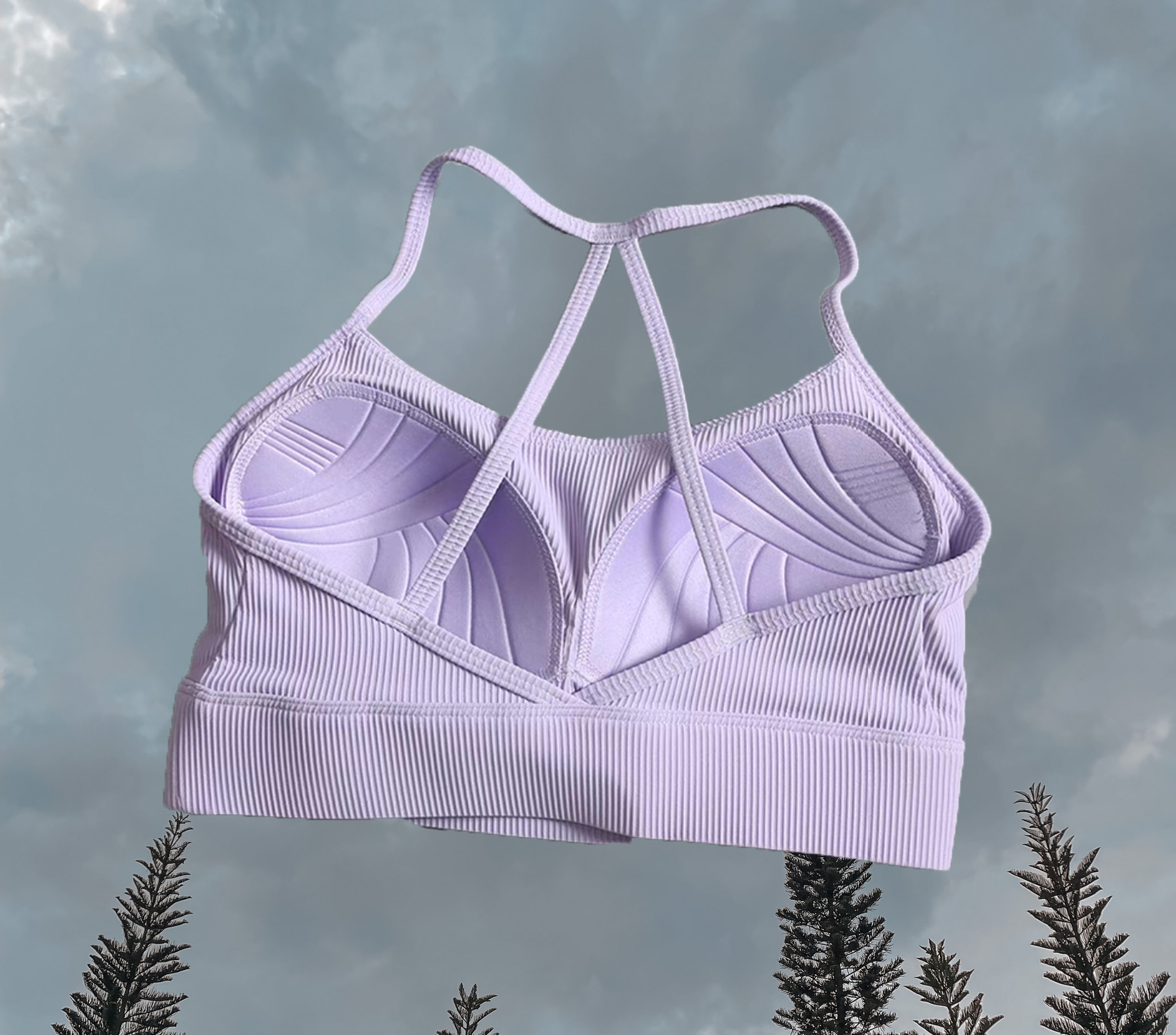 Crystal Sport Bra Lavender Purple - Back 
