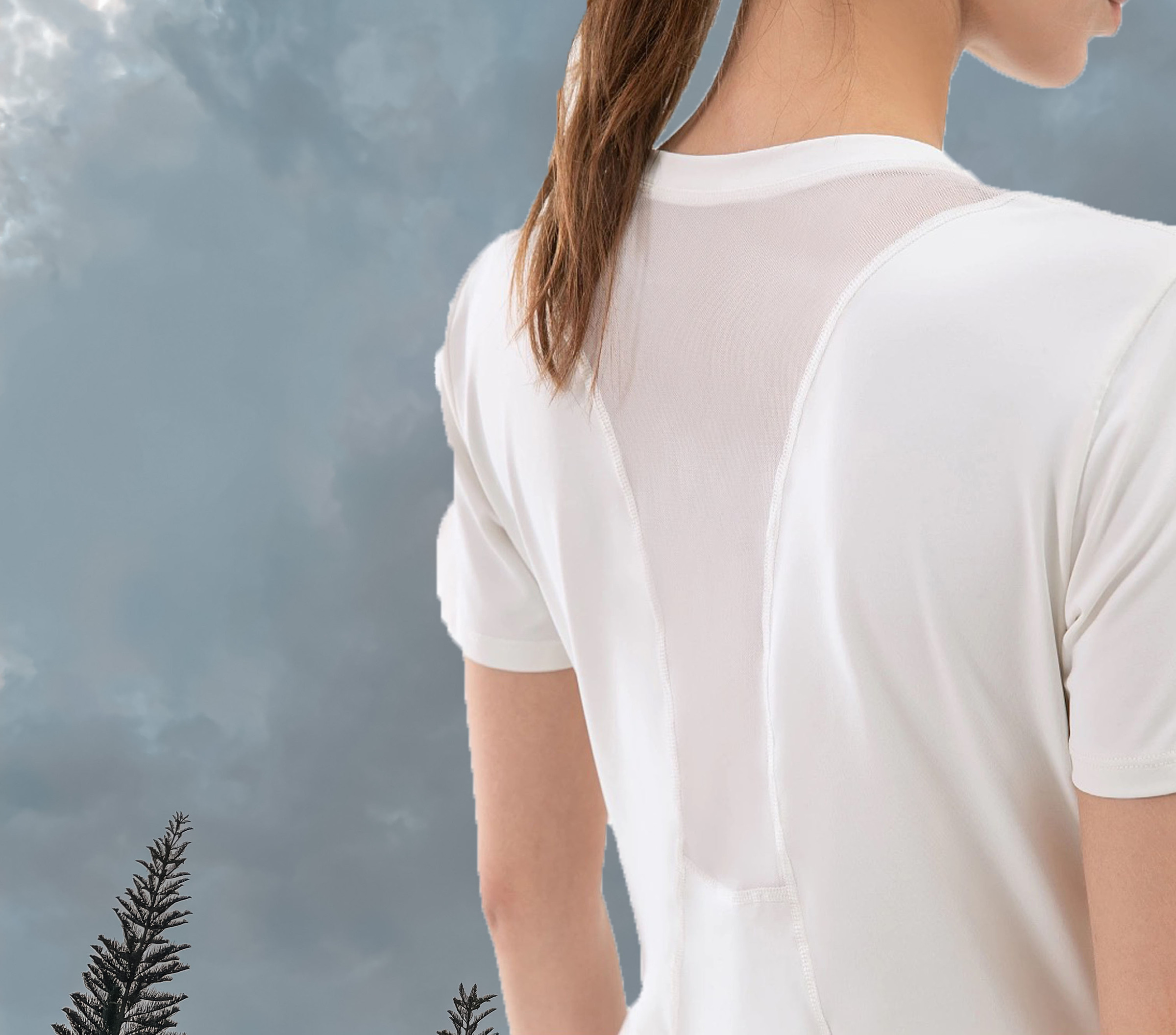 charlotte ladies tee ivory back