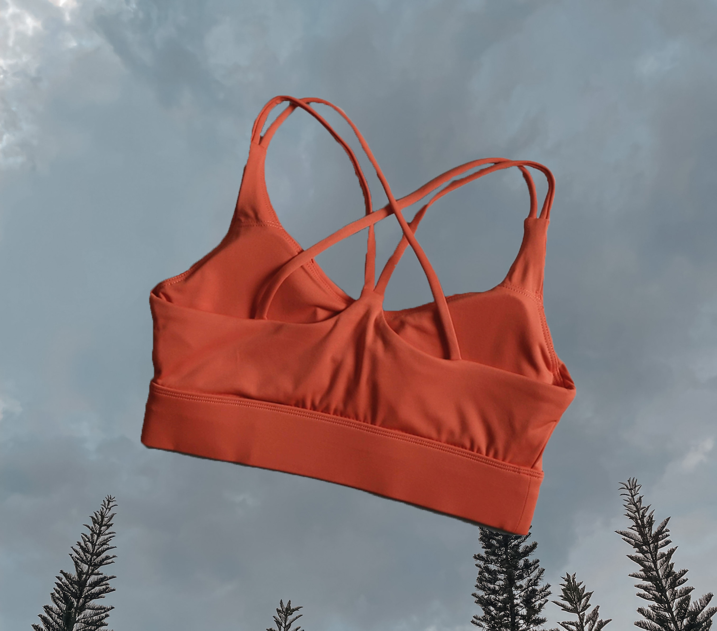 Carina Hermes Orange Red Sport Bra - Back