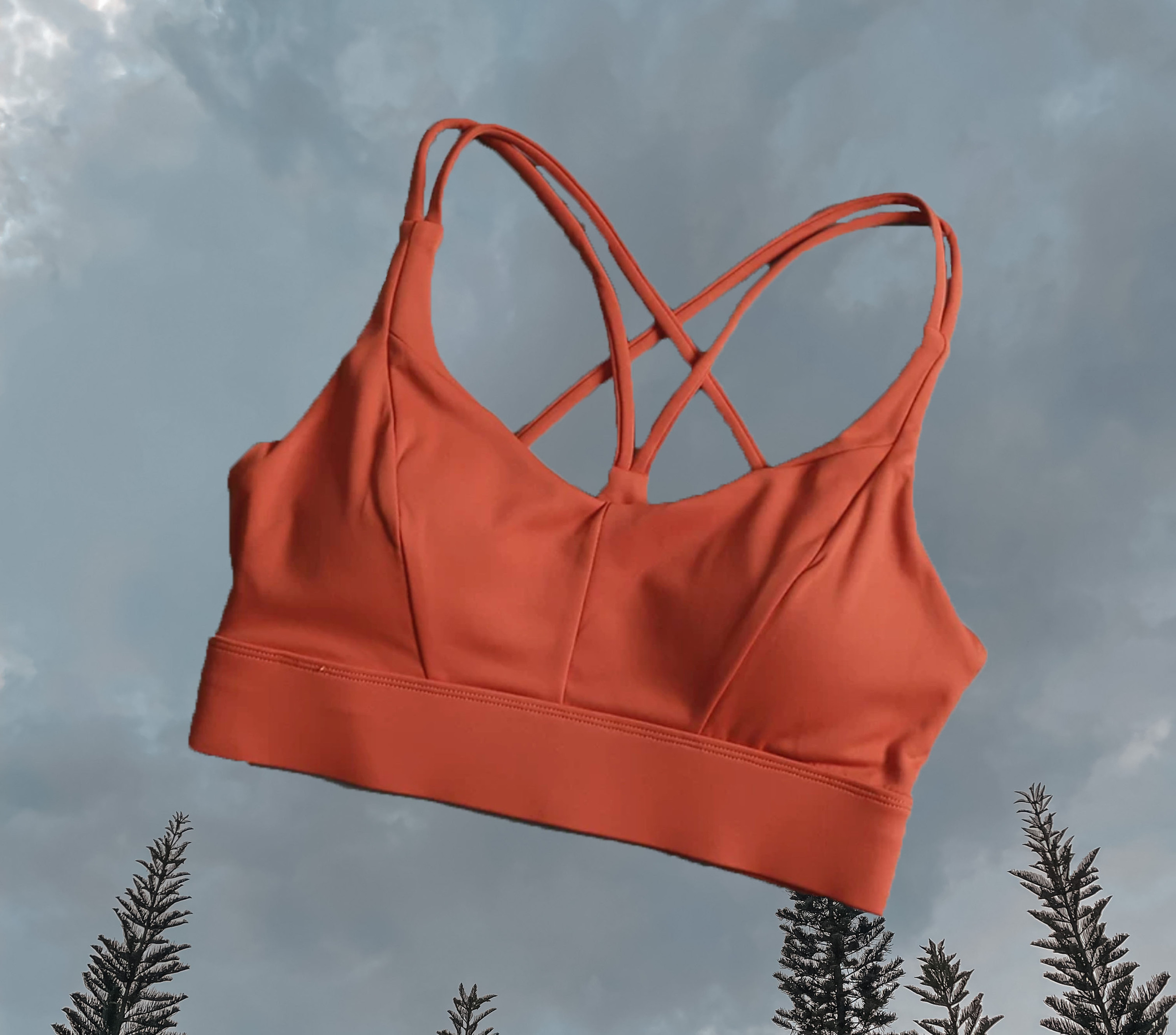 Carina Hermes Orange Red Sport Bra - Front