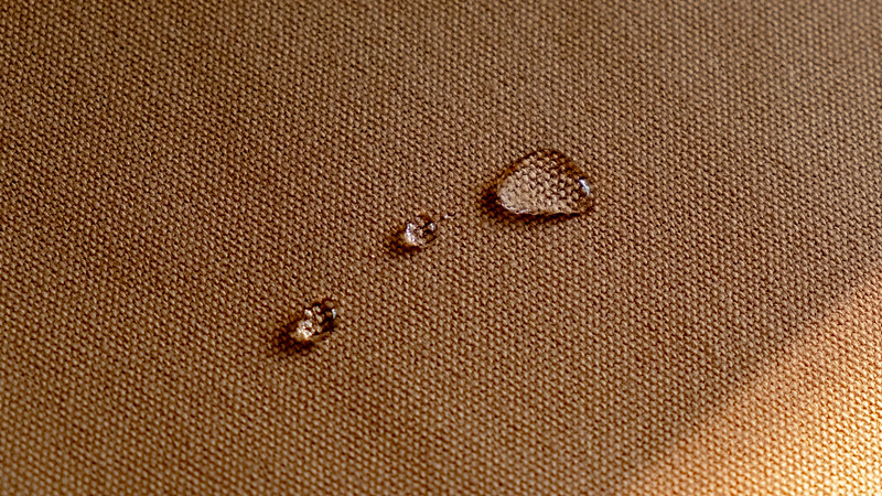 52771832714_ae99b54a5e_c